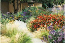 Water Efficient Landscape (2) (1)