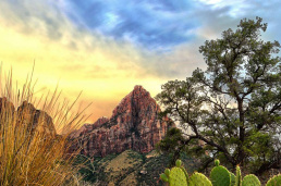 10457753_10203408754717402_7448556895867340520_o