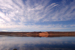 CRW_8394