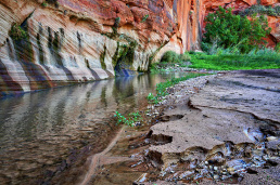 EastFork