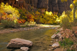 Fall-Colors-along-the-Virgin-Big-Bend-Zion