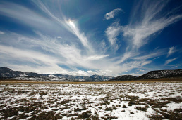 Grass-Valley
