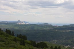 IMG_6249