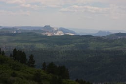 IMG_6251